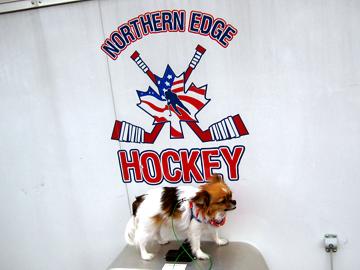 Alphie checks out the scene - July 22, 2008