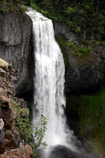 Salt Creek Falls off Highway 58 west of Willamette Pass - June 16, 2009