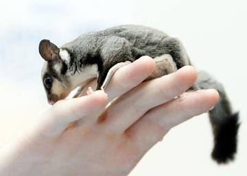 Andrew holding Dre - July 23, 2012