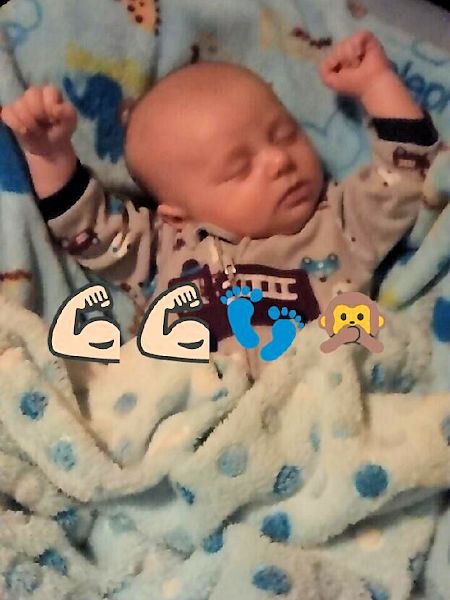 Spring 2015 Spring 2015