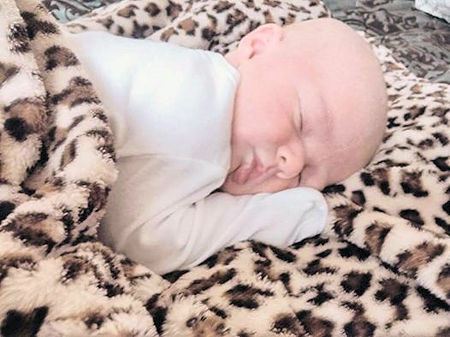 Spring 2015 Spring 2015