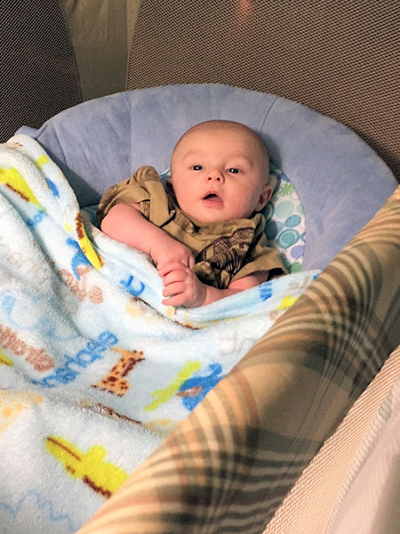 Spring 2015 Spring 2015