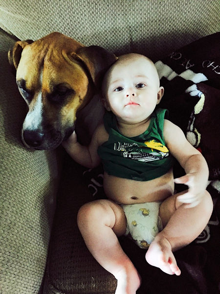 Burner and Ryker - Summer 2015 Burner and Ryker - Summer 2015