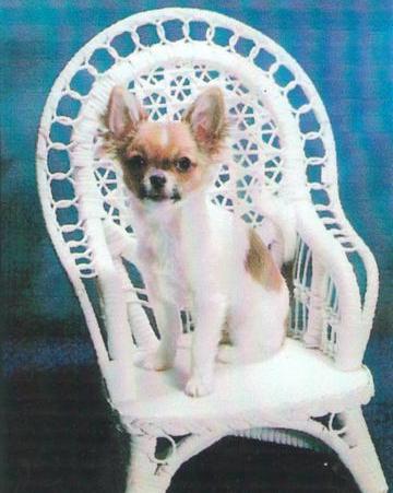 Alfie Five Months Old - February 2005