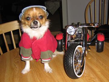 Let's go for a ride - January 2006