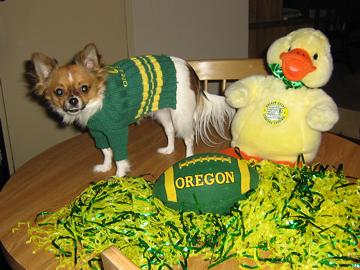 Go Oregon Ducks - January 2006
