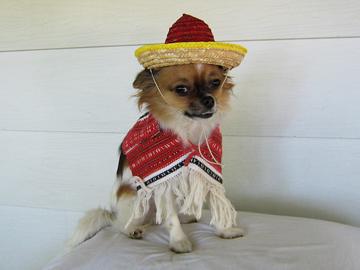 Ole - September 2006