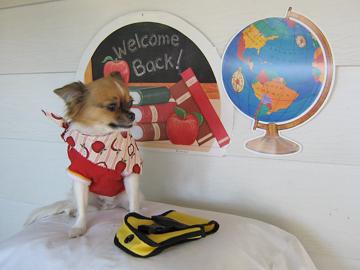 Let's go to school - October 2006