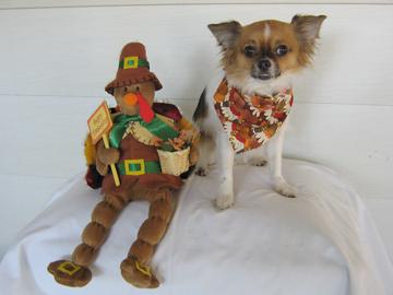 Thanksgiving is coming - October 2006