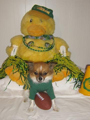 The mighty Oregon Ducks will rule - November 2006