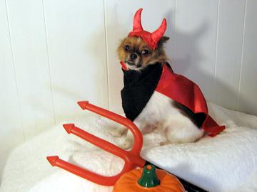 I'm the Devil - December 2006