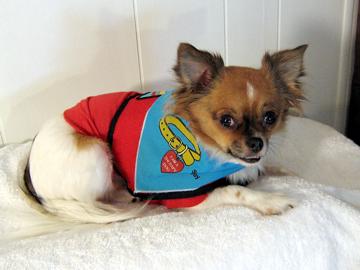 Hi, I'm Alfie - December 2006