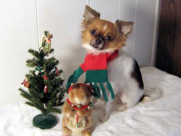 We're ready for Christmas - December 2006