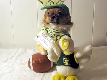 Go Ducks Go! - December 2006