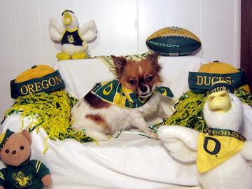 The Oregon Ducks are my team! - September 2007