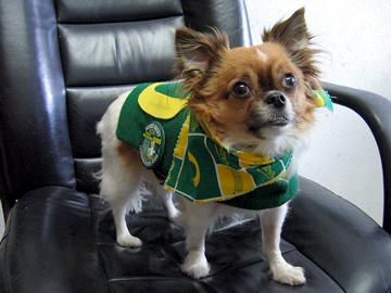 I'm Alfie - I'm in charge here - October 2007