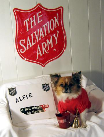 A Bell Ringer for all seasons - December 2007