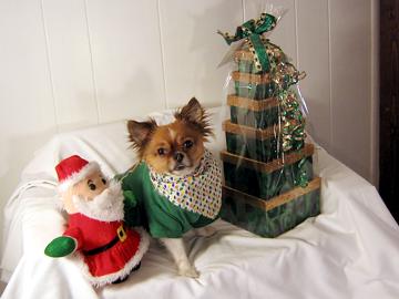 Look what Santa brought me - December 2007