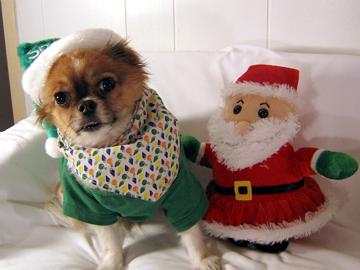 Hi from me and Santa - December 2007