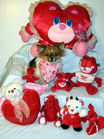 Will you be my valentine? - January 2008