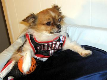 Are you ready for some Basketball? - January 2008