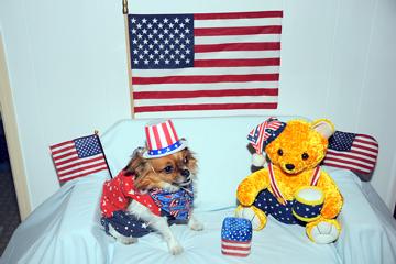 Alfie for Obama - June 2008