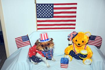 Alfie for Obama - June 2008