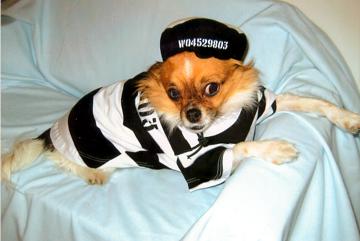 Keep your distance. I'm tough! - Halloween 2008