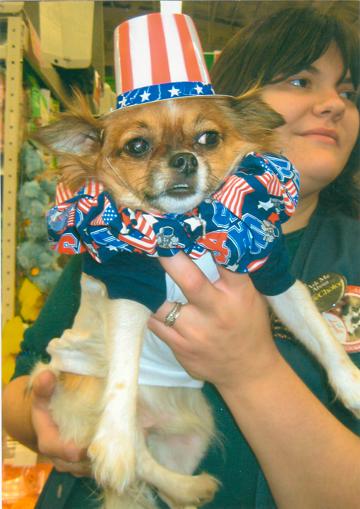 Alfie won Best Costume in Pet Contest October 30, 2008