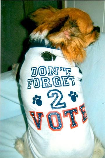 Alfie won Best Costume in Pet Contest October 30, 2008