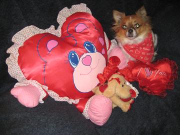 Alfie Valentine - February 1, 2010