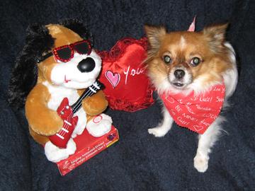 Alfie Valentine - February 1, 2010