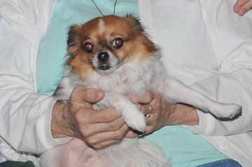 Alfie - February 14, 2011