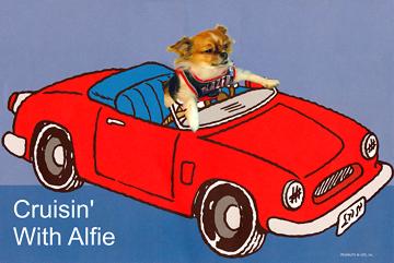 Cruisin With Alfie - July 2011