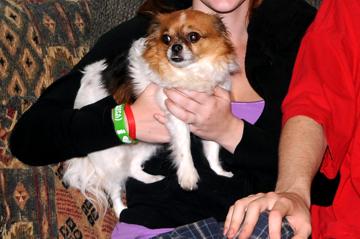 Alfie - July 30, 2011