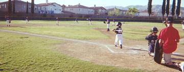 Little League Summer 2000