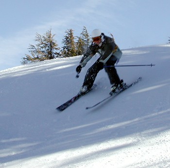 Andrew - February 8, 2004